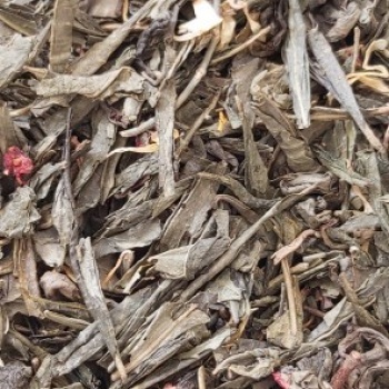 piperoriza eykalyptow grren tea